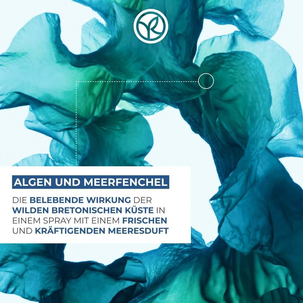 Nachfüllpack Duschgel Wildalge & Meerfenchel