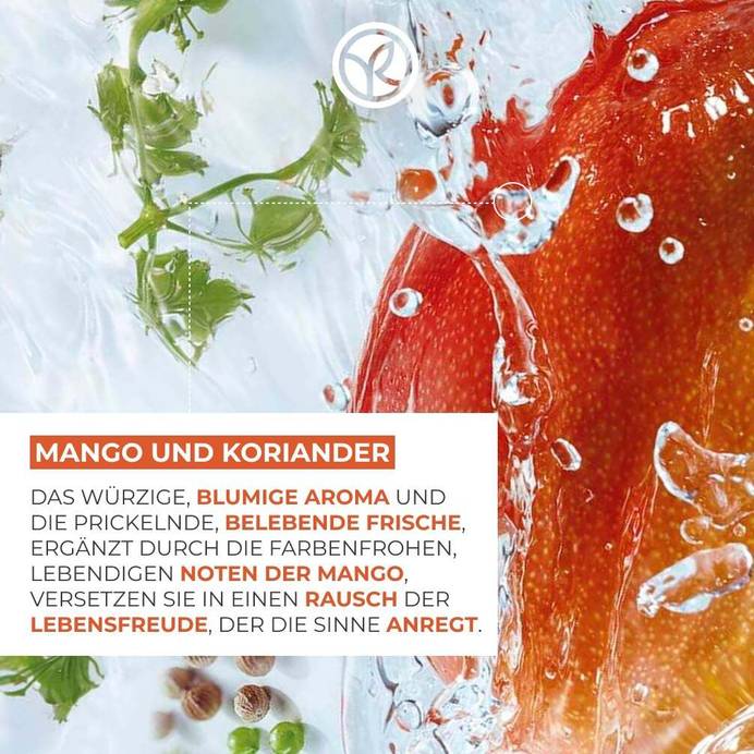 Nachfüllpack Duschgel Mango & Koriander