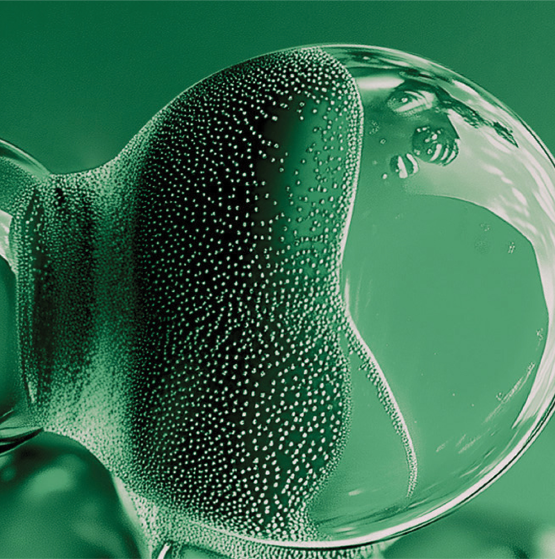 Dermo-botanische expertise