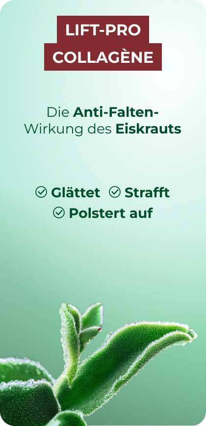 lift pro collagene Wirkung Eiskrauts