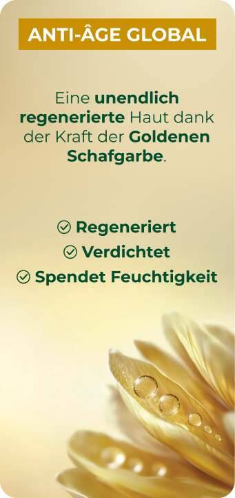 anti-age global Schafgarbenblüte