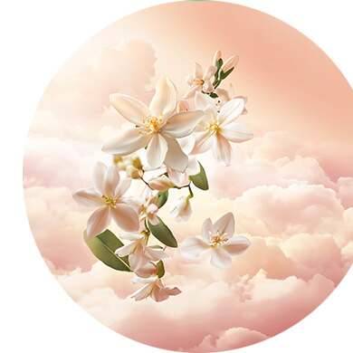 Bergamotte, Neroli, Orangenblüte