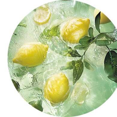 Zitrone, Rose, Schwarzer Tee