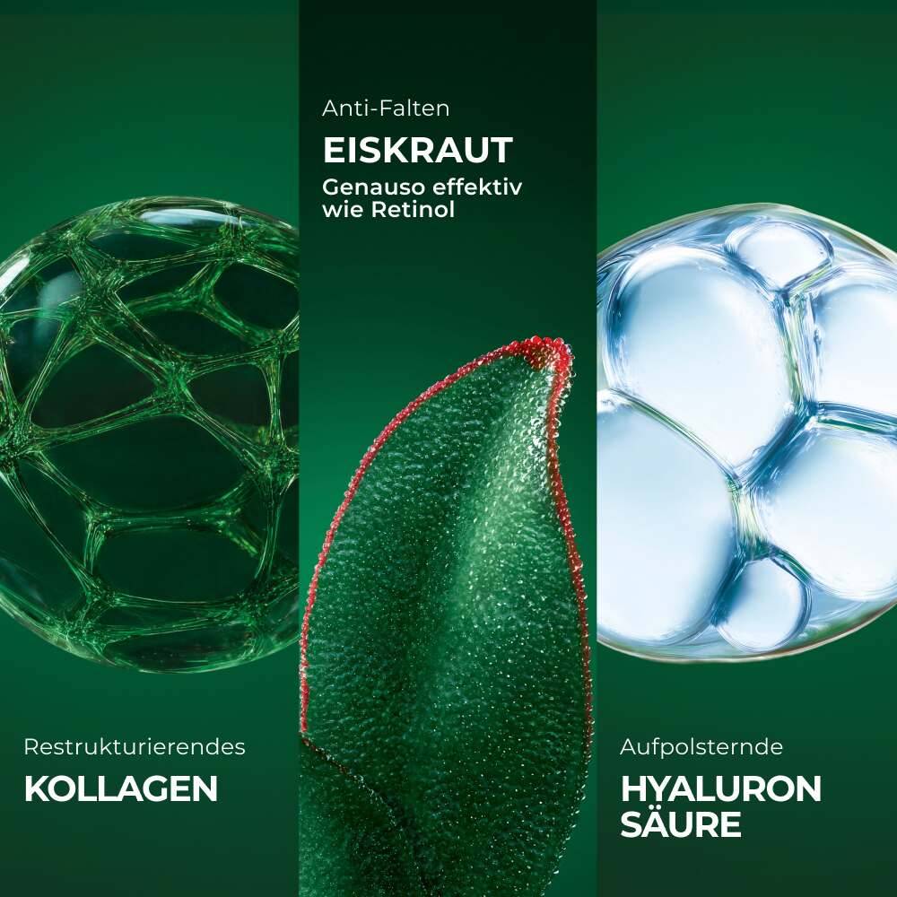Straffende Anti-Falten-Nachtcreme